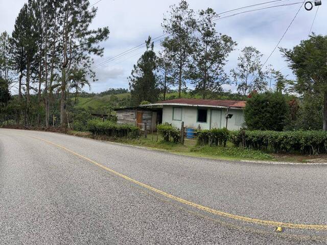 Terreno para Venta en Coto Brus - 3