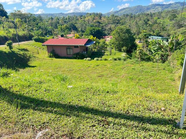 #28 - Terreno para Venta en Coto Brus - P