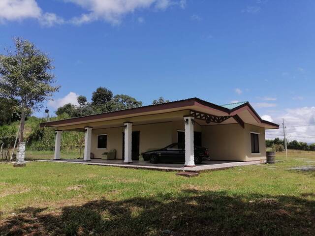 #31 - Casa para Venta en Coto Brus - P