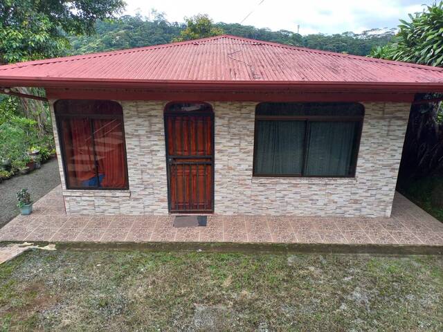 #33 - Casa para Venta en Coto Brus - P