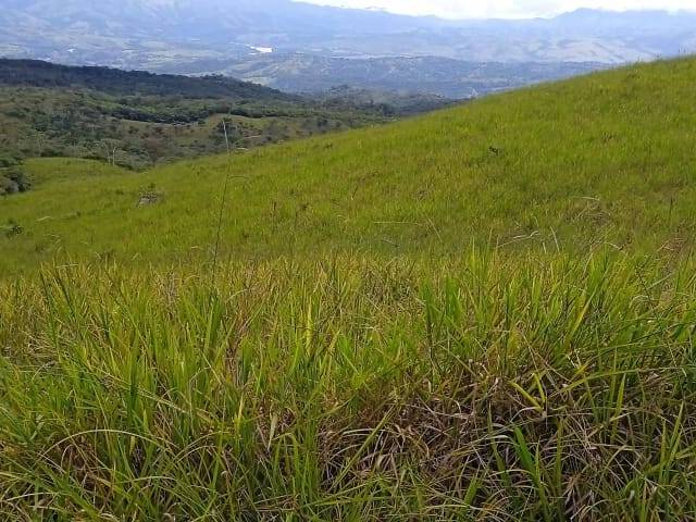 #38 - Granja  Finca para Venta en Buenos Aires - P