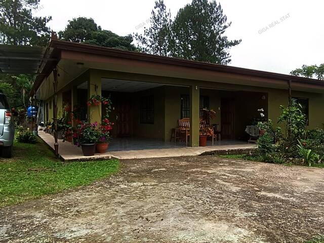 #44 - Casa para Venta en Coto Brus - P