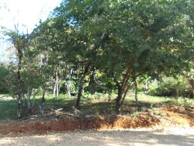 Terreno para Venta en Coto Brus - 1