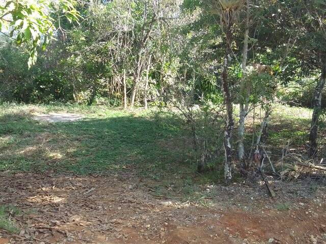 Terreno para Venta en Coto Brus - 2